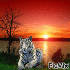image - Bezmaksas animēts GIF