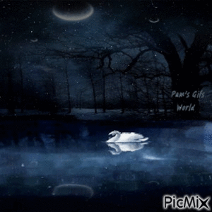 Swan Lake - Ilmainen animoitu GIF