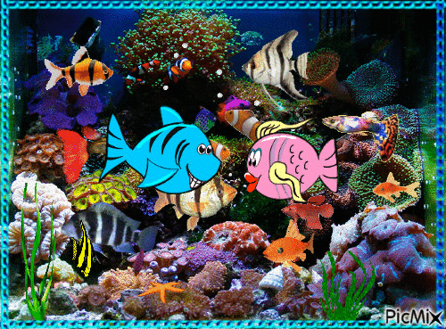 Aquarium - Animovaný GIF zadarmo