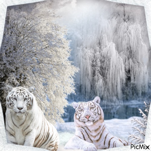Winter Tigers - png gratuito