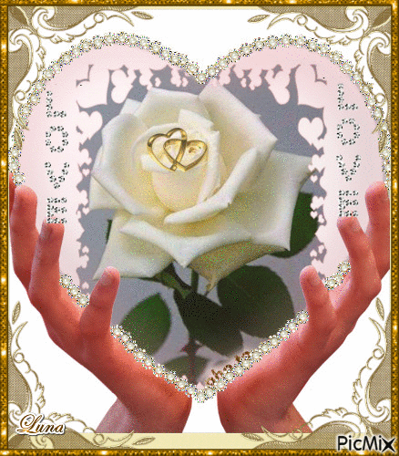 rosa dentro do coração - GIF animado gratis
