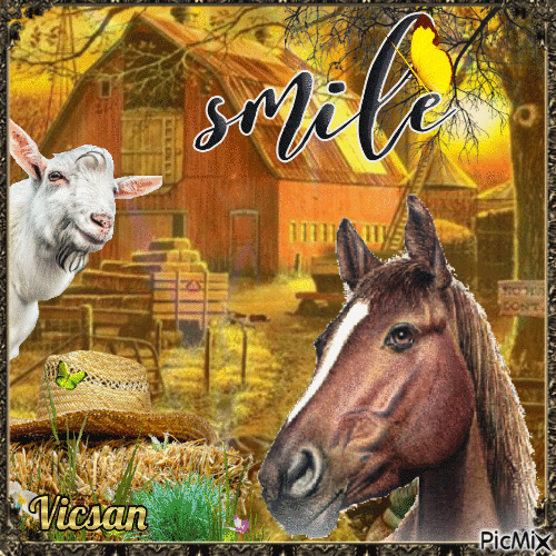 Animal de granja y texto "Smile" - Gratis geanimeerde GIF