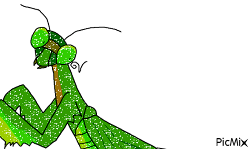 shiny mantis - Ingyenes animált GIF