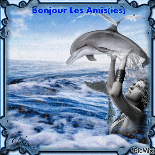 Gentils dauphins - Бесплатный анимированный гифка