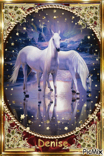 cheval blanc - Ingyenes animált GIF