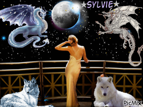compagnons Sylvie - Free animated GIF