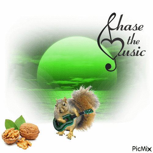 Chase The Music - 免费动画 GIF