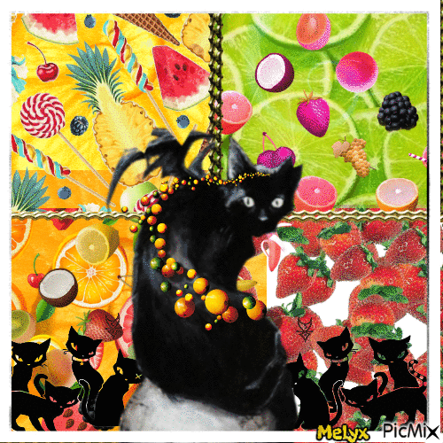 Black Cat and fruits color - Free animated GIF