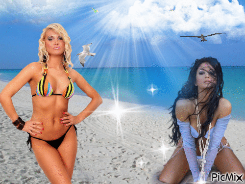 Beach Belle's - Free animated GIF