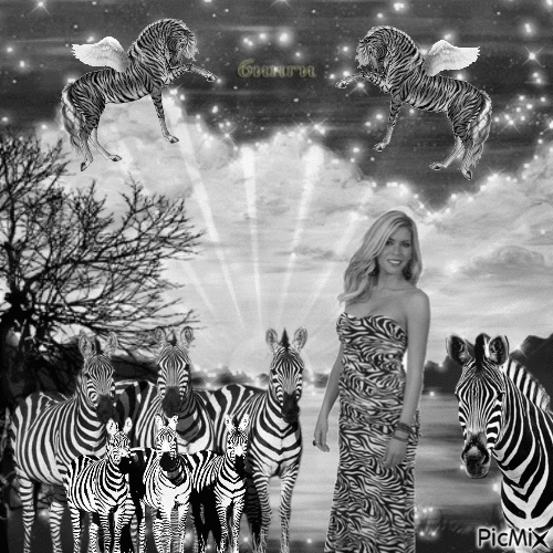 Zebra jurk - Besplatni animirani GIF