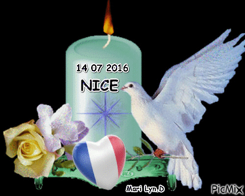 date symbolique des attentats du 14 07 2016 ...douleur ...tristesse ..colére - Animovaný GIF zadarmo