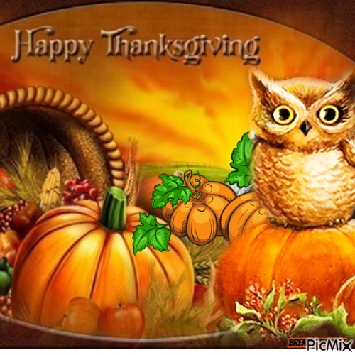 thanksgiving owl - png ฟรี