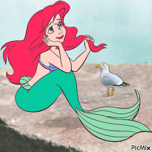 Ariel and seagull - Free animated GIF