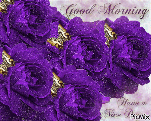 PURPLE, GLITTERING ROSES WITH GOLD BUTTERFLIES. AND A VERSE, GOOD MORNING HAVE A NICE DAY.