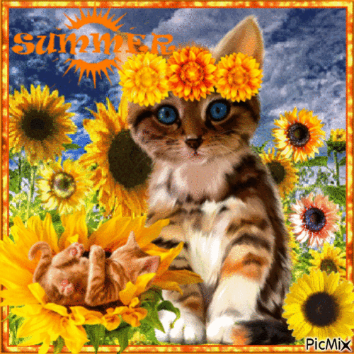 Cat in Sunflower Field - Бесплатный анимированный гифка