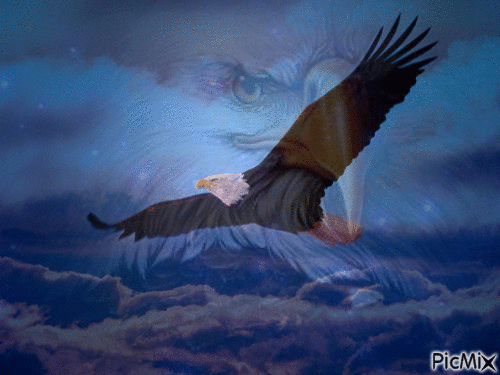 voa nas asas - GIF animado grátis