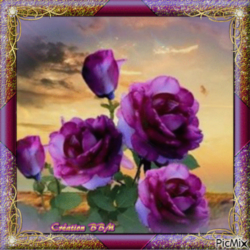 Roses mauves par BBM - Безплатен анимиран GIF