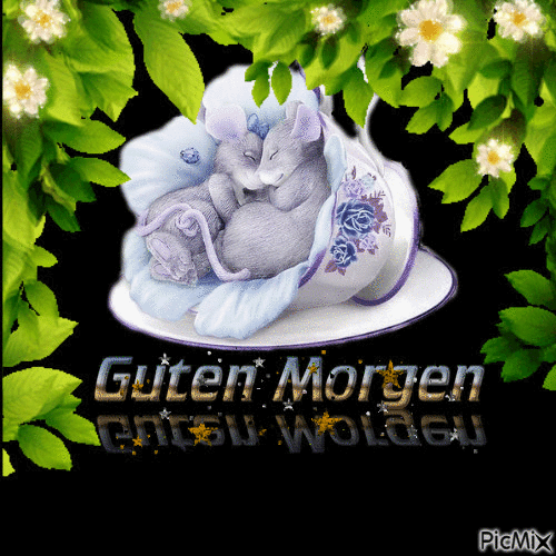 Gu Morgen - Бесплатный анимированный гифка