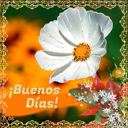 Flor Blanca - GIF animado gratis