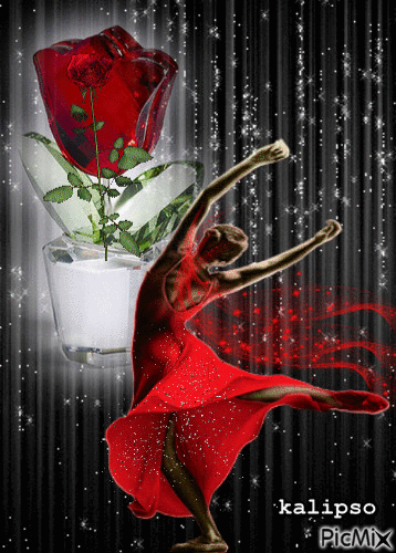 Scarlet rose - Darmowy animowany GIF