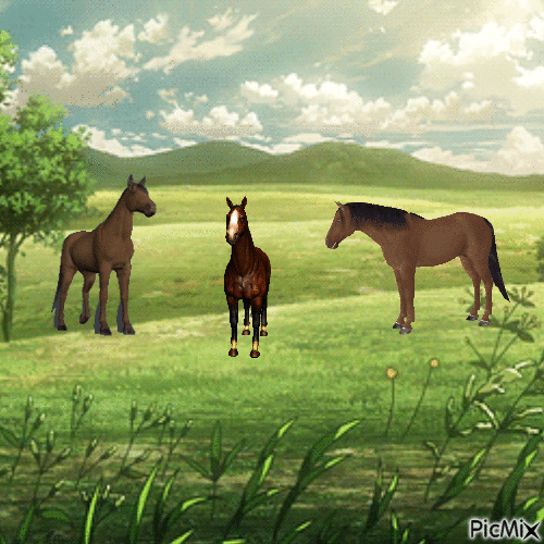 horse - GIF animasi gratis