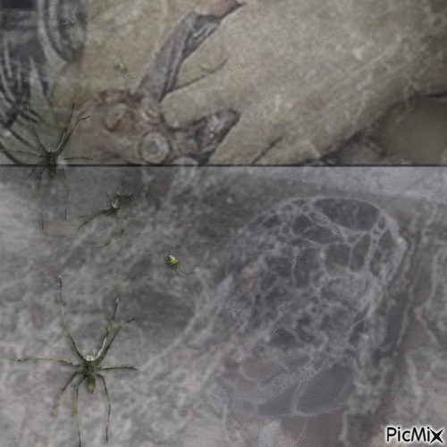 japanese spider - Darmowy animowany GIF