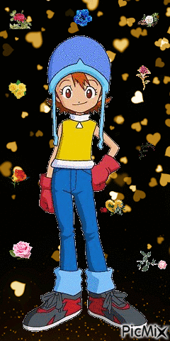 Giff Digimon Sora créé par moi - GIF animado grátis