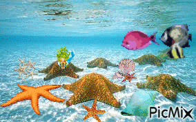 OCEAN - Zdarma animovaný GIF