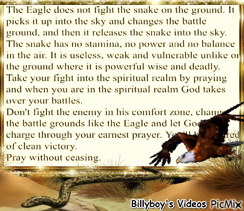 Eagle and Snake - Nemokamas animacinis gif