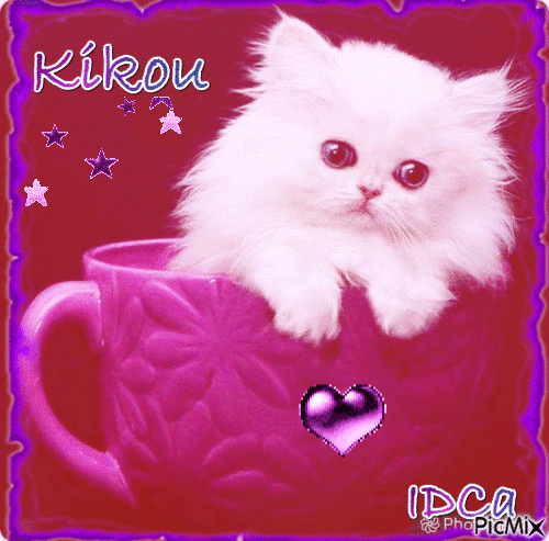 Kikou les chat-minous - Δωρεάν κινούμενο GIF