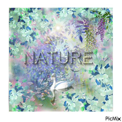 Nature - Zdarma animovaný GIF