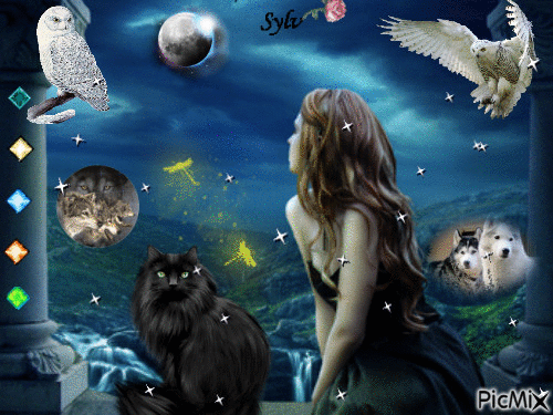 chat noir et chouettes ma création sylvie - GIF เคลื่อนไหวฟรี