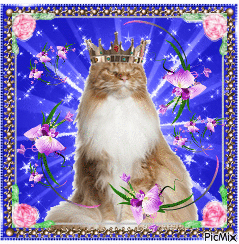 King cat. - GIF animasi gratis