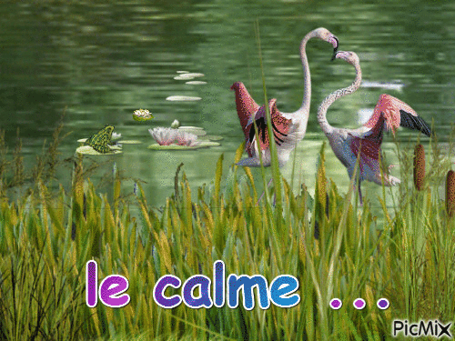 calme et repos - Bezmaksas animēts GIF