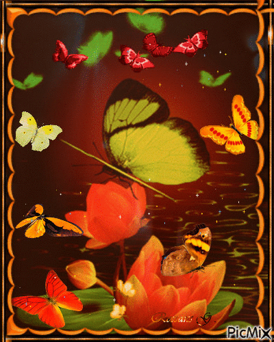 Papillons - GIF animado gratis