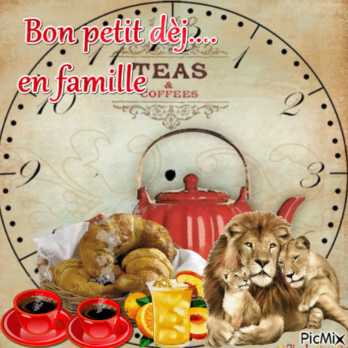 famille lion - Free animated GIF