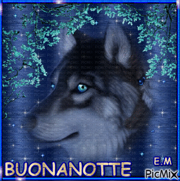 BUONANOTTE - 免费动画 GIF