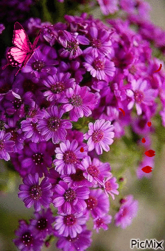 violet flower - GIF animado gratis