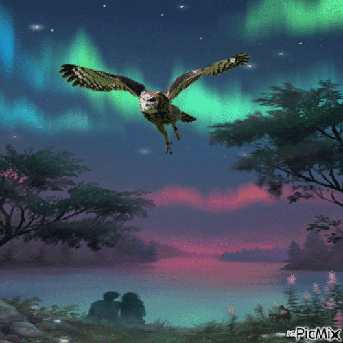 Fantasy owl - GIF animate gratis