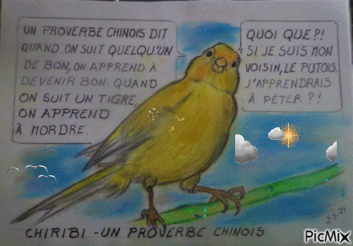 Chiribi bd humour.Le proverbe dessin fait par Gino GIBILARO - Бесплатный анимированный гифка