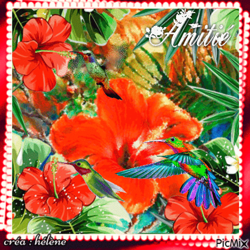Fleurs et colibris - Gratis geanimeerde GIF