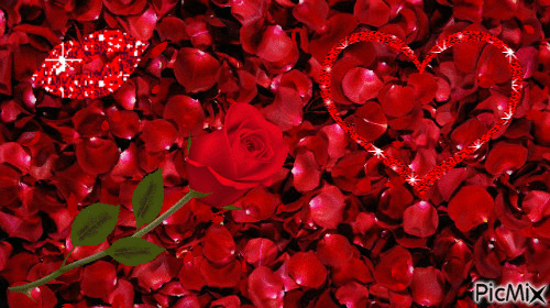 kiss rose - Ilmainen animoitu GIF
