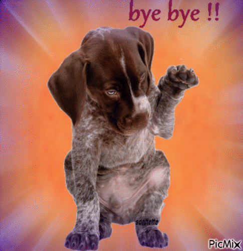 Bye bye - Gratis animerad GIF