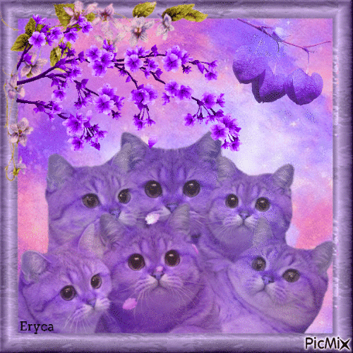 Chatons fantaisie ( violet ) - Gratis animeret GIF