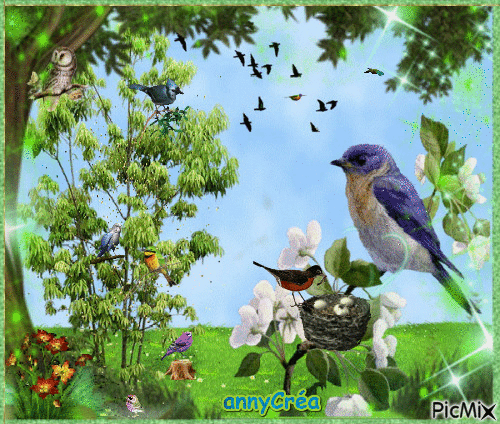 Mes oiseaux - Безплатен анимиран GIF