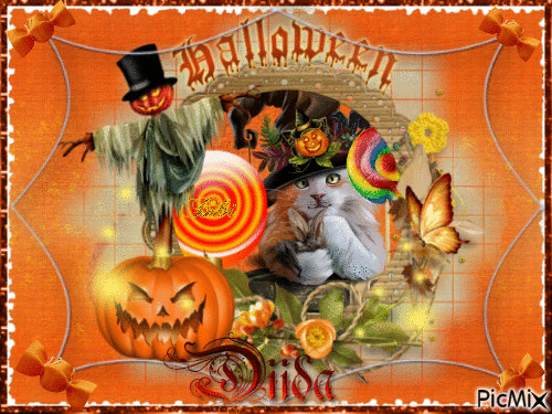 Happy halloween Diida 2 - GIF เคลื่อนไหวฟรี