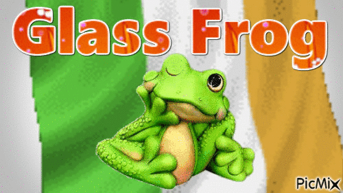 Glass Frog - Безплатен анимиран GIF