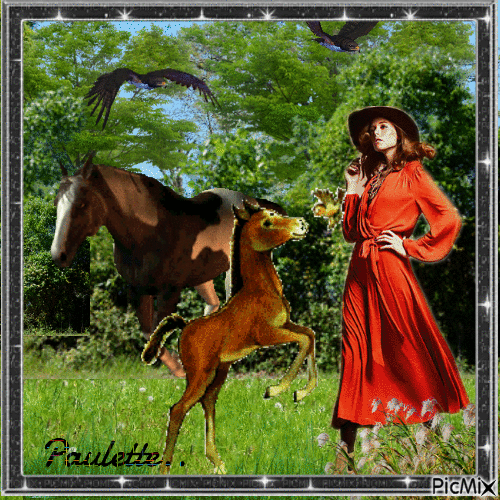 la femme et le cheval - Ingyenes animált GIF