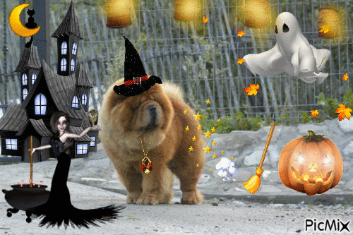 halloween Carlo - Bezmaksas animēts GIF