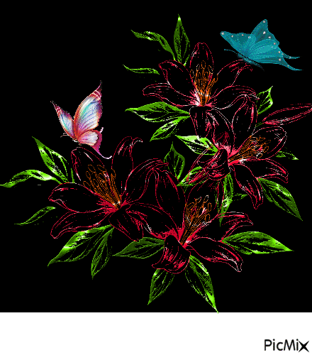 бабочки - Бесплатный анимированный гифка